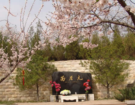 原上海市市委书记芮杏文墓