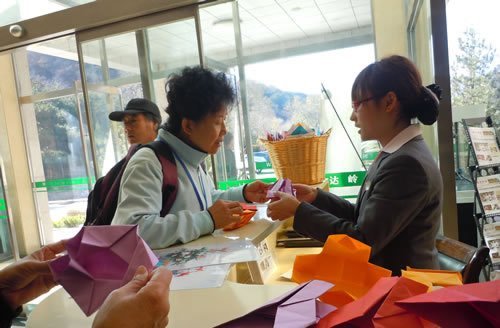 陵园寒衣节祭扫活动