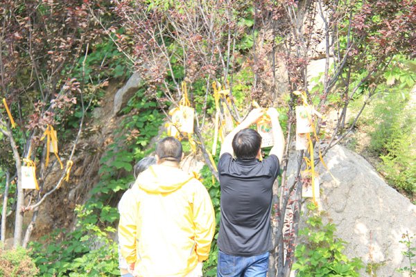 端午节祭扫活动