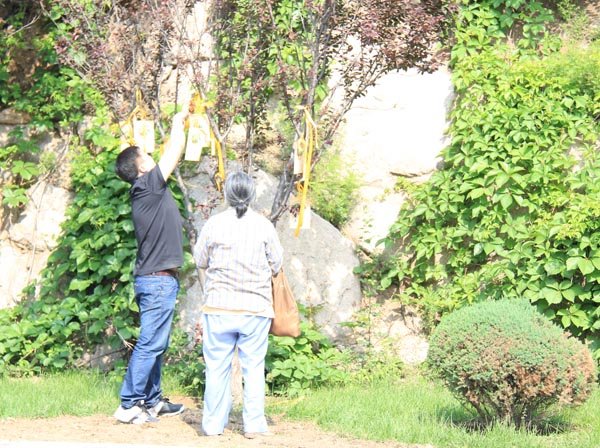 端午节祭扫活动
