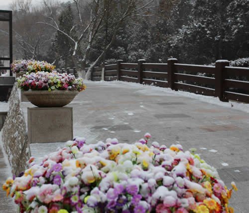 陵园扫雪