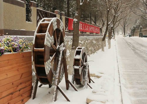 园区扫雪