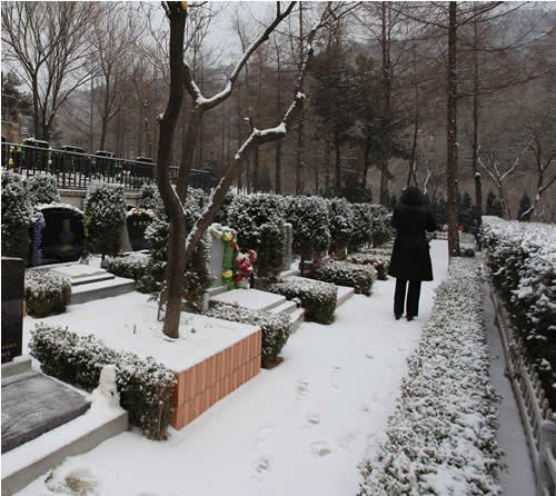 十区扫雪