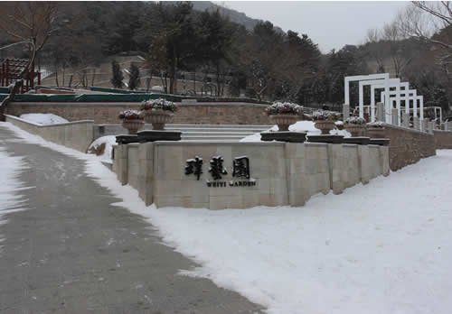 十一区雪景
