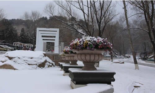 园区雪景