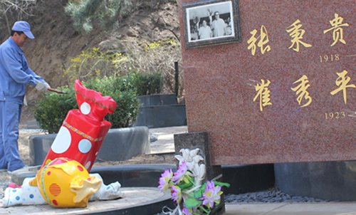 修剪张秉贵墓前绿植