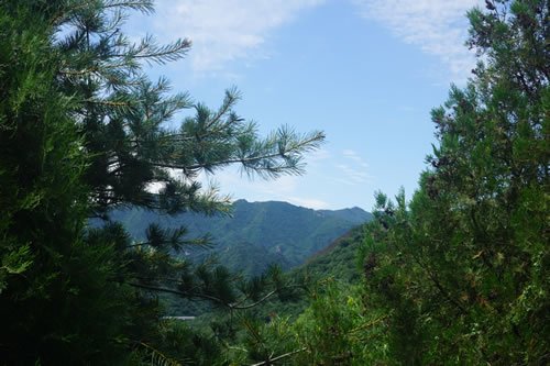 氧吧9