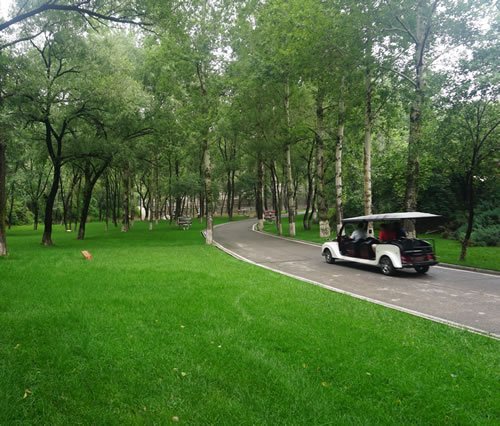 雨后的陵园
