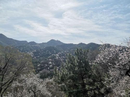 八达岭陵园,屠守锷