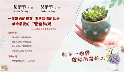 感恩父母亲情活动